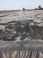 Los ríos muertos en Huejotzingo, el fracaso gubernamental y la miseria del Atoyac