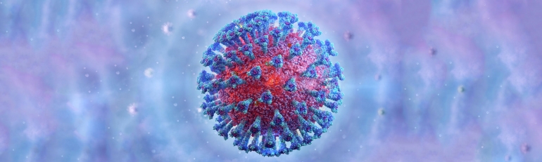 Revista Elementos: Algunas lecciones del coronavirus