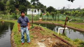 En Hueytamalco, sueños de tilapia y naranjales en la antigua selva devastada. El conflicto por las granjas acuícolas en Puebla