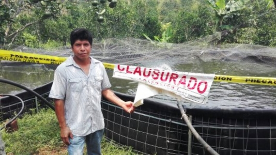 Excesivas regulaciones para los pequeños productores de peces en la Sierra Norte: Fidel Glockner Rossains