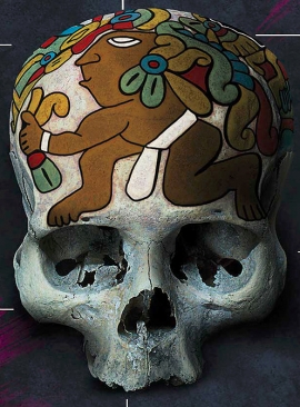 El misterio de los cráneos zapotecas en el Museo de la Casa del Mendrugo
