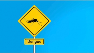 El dengue viajero/Revista Elementos
