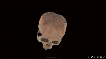 El Señor Lagarto y la tecnología 3D para admirar los cráneos zapotecas en el Museo Casa del Mendrugo