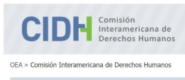Queja ante la CIDH en defensa del interés jurídico ciudadano contra el fraude electoral